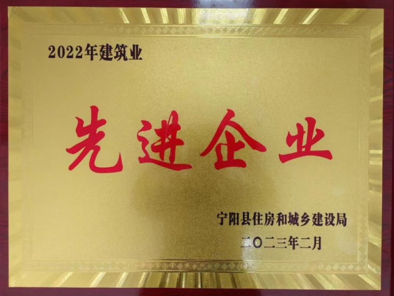 2022年建筑业先进单位