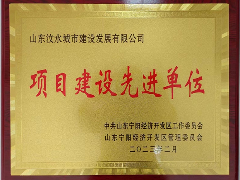 项目建设先进单位
