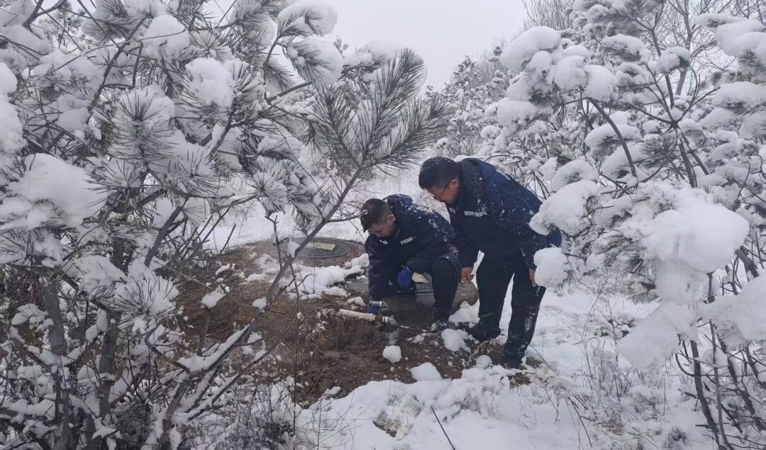 微信图片_2026-01-16_171749_069